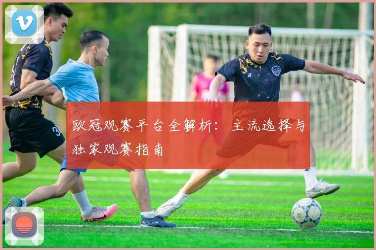 欧冠观赛平台全解析：主流选择与独家观赛指南